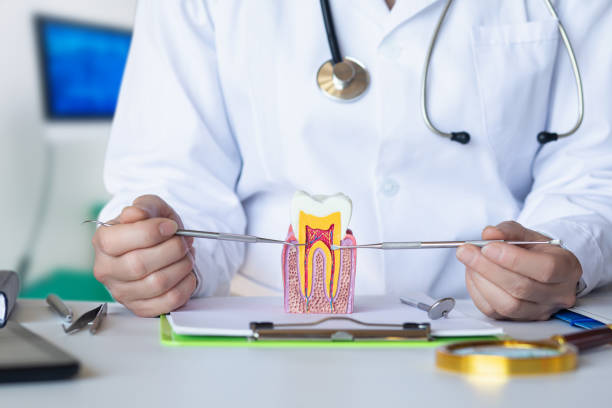 Best Emergency Root Canal Treatment in Murphy, NC